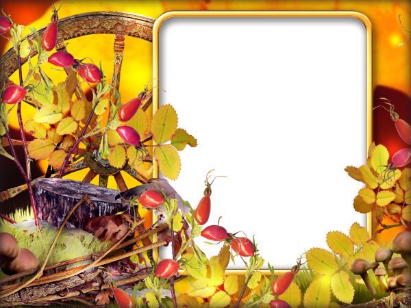 Осенняя рамка на прозрачном фоне