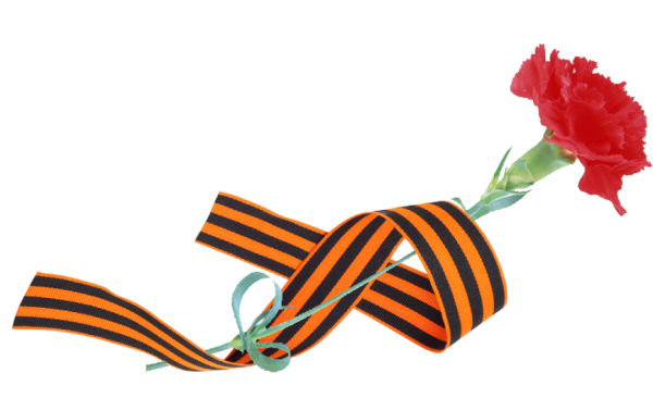 Георгиевская лента с гвоздикой