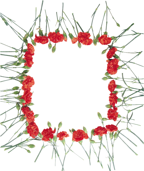 Рамочка из гвоздик