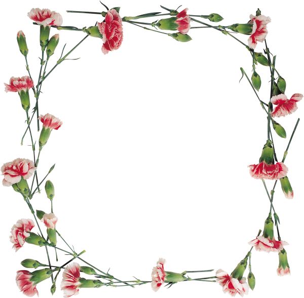 Рамка с гвоздиками