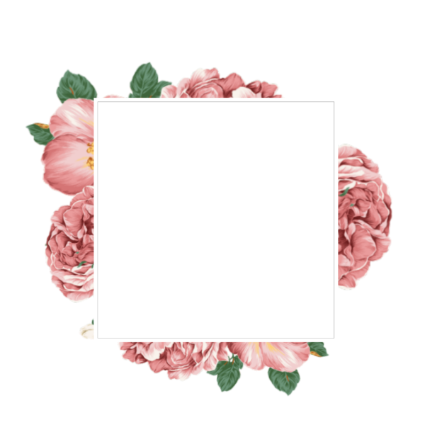 Рамка с пионами на прозрачном фоне