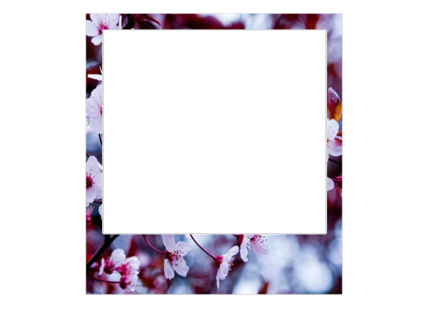 Рамки для инстаграмма