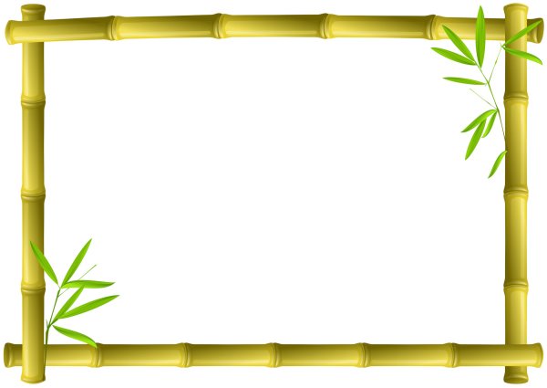 Рамка бамбук на прозрачном фоне