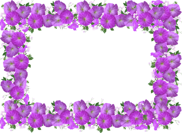 Рамка цветы