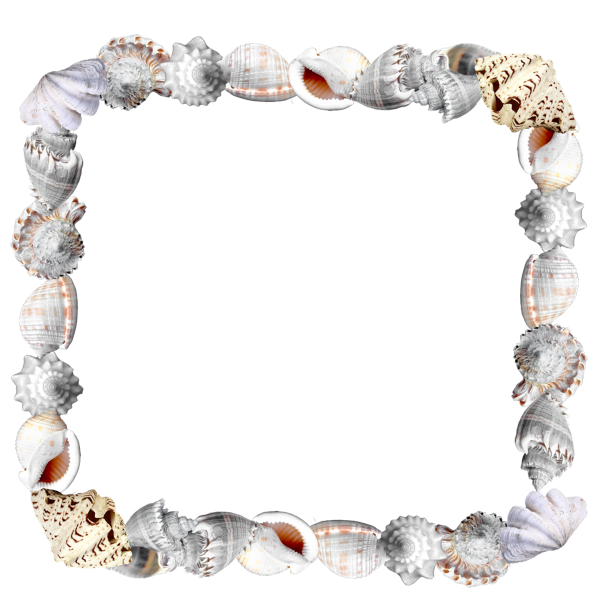 Морские рамки для фотошопа на прозрачном фоне