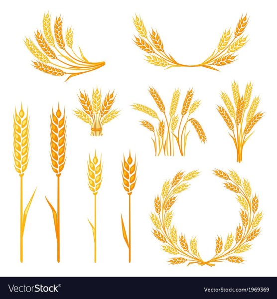 Вензеля из колосьев