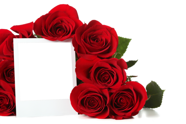 Рамка для фотошопа розы