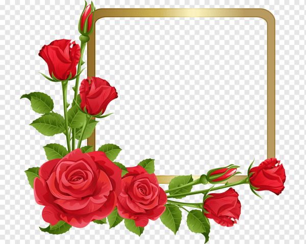 Рамка из роз