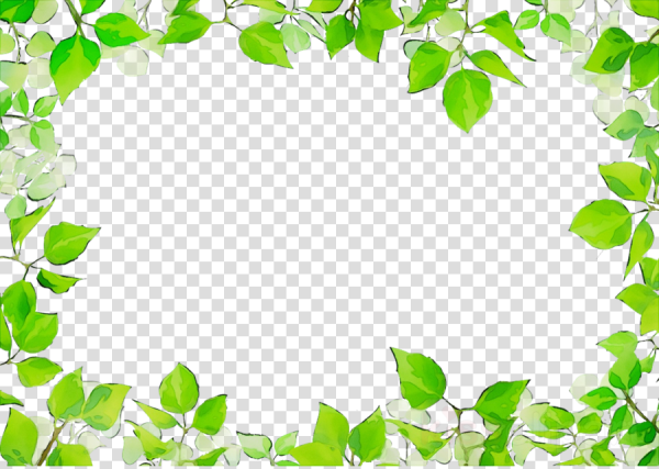 Рамка из зелени