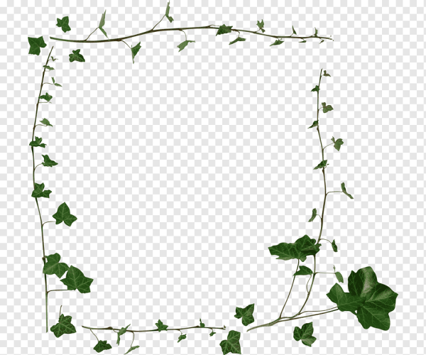 Рамка листья