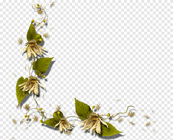 Весенние рамки-уголки из листвы