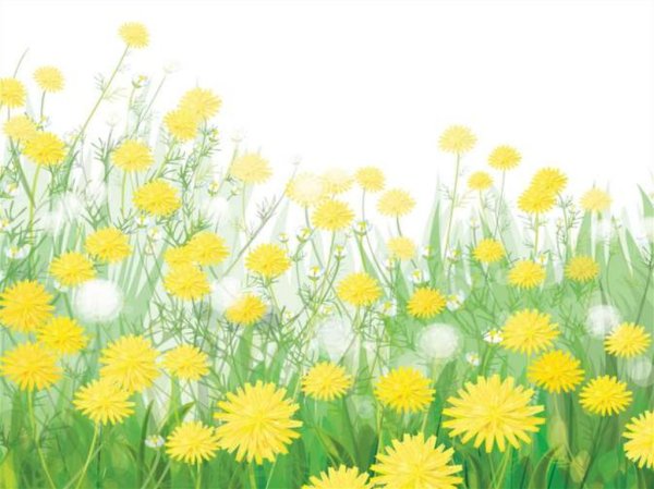 На полянке одуванчик желтый вектор