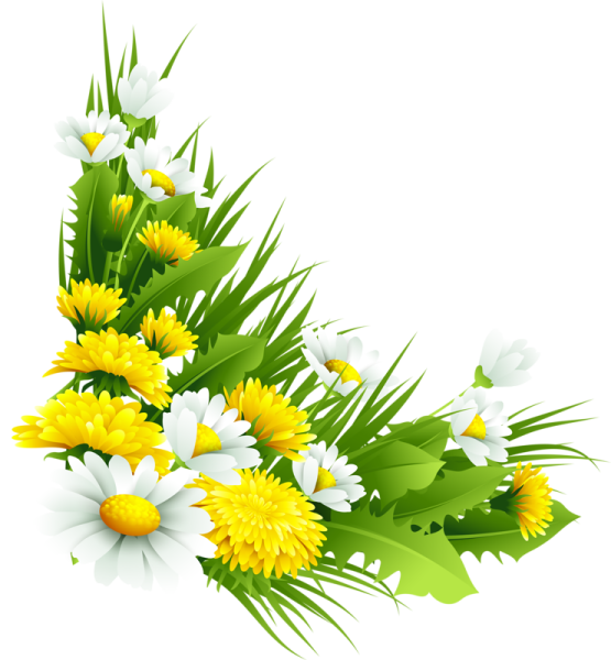 Трава с ромашками вектор