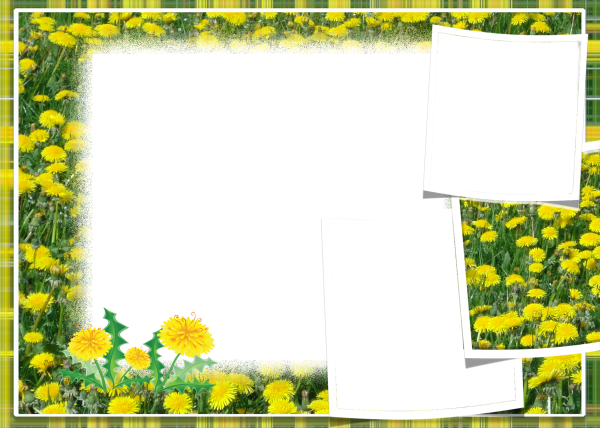Рамка одуванчики