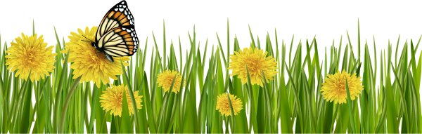 Полянка с одуванчиками вектор