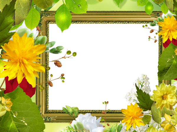 Прозрачные рамки для фотошопа лето