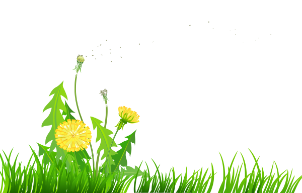 Луг на белом фоне