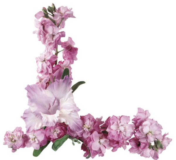 Цветы угловые для фотошопа