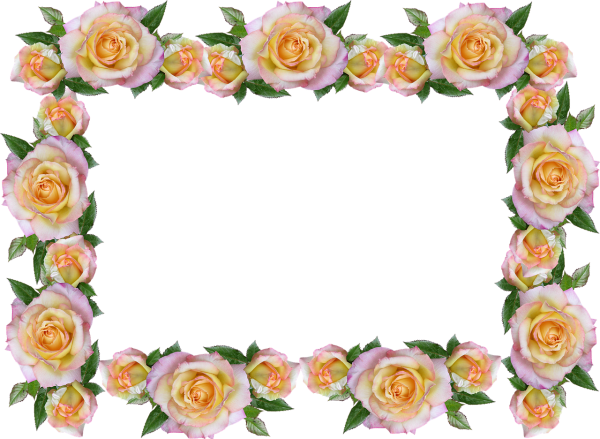 Рамка с розами на прозрачном фоне
