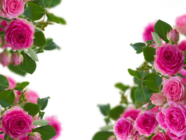 Цветочки по бокам