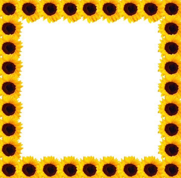 Красивая желтая рамка