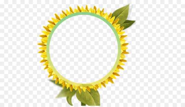 Рамка Подсолнухи на прозрачном фоне