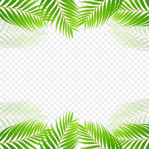 Рамка пальмы