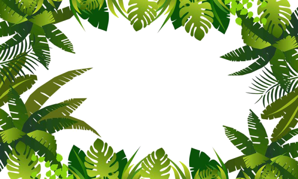 Тропические листья по краям