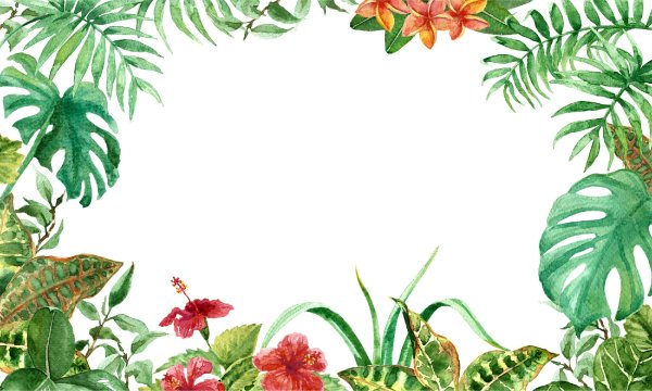 Рамка из тропических цветов