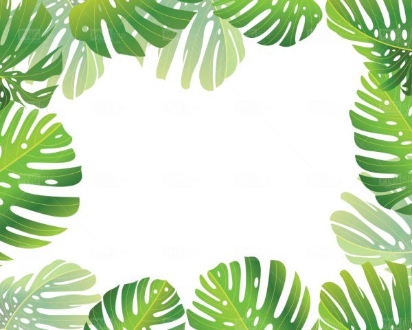 Тропические листья рамка