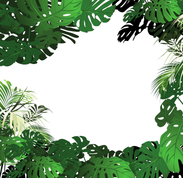 Тропические листья рамка