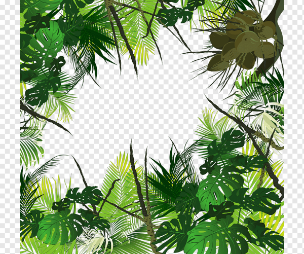 Рамка в стиле тропики