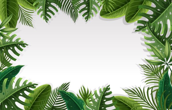 Тропические листья рамка