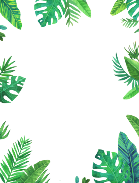 Рамка из пальмовых листьев