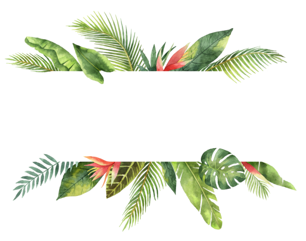 Пальмовая ветка акварель