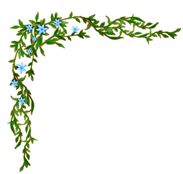 Рамка веточки