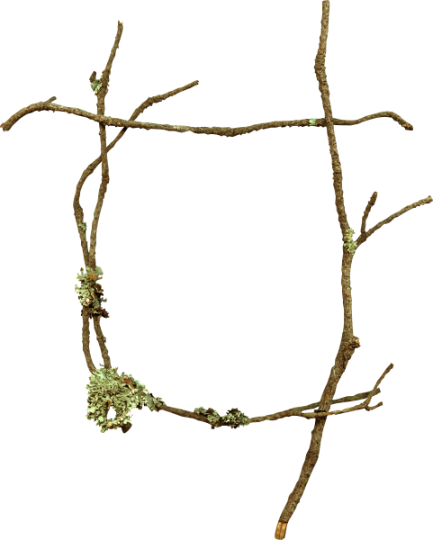 Рамка из веток