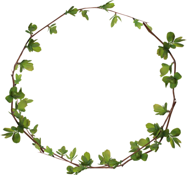 Круг из зелени