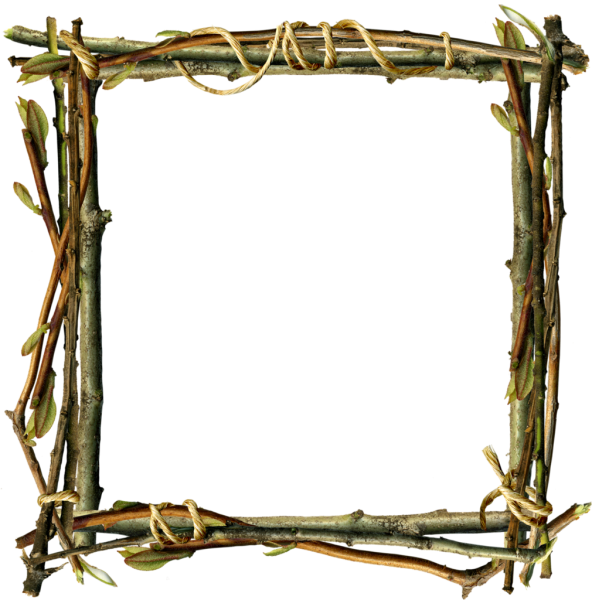 Рамка из веточек деревьев
