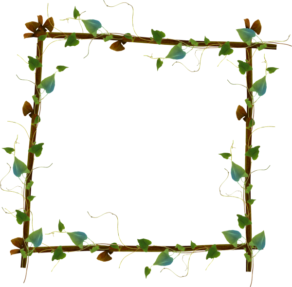 Рамка из веток