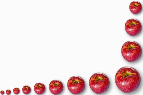 Рамка фрукты на прозрачном фоне