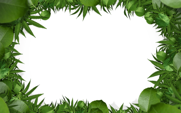 Рамка из зелени