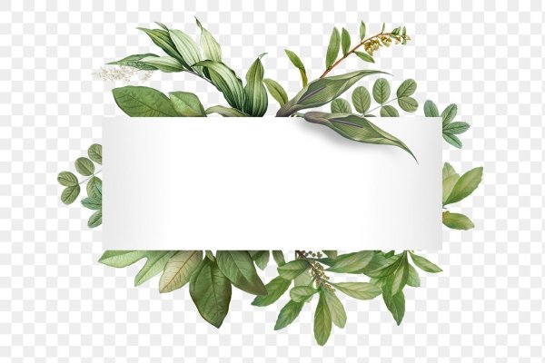 Рамка из зелени