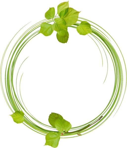 Рамка зеленая