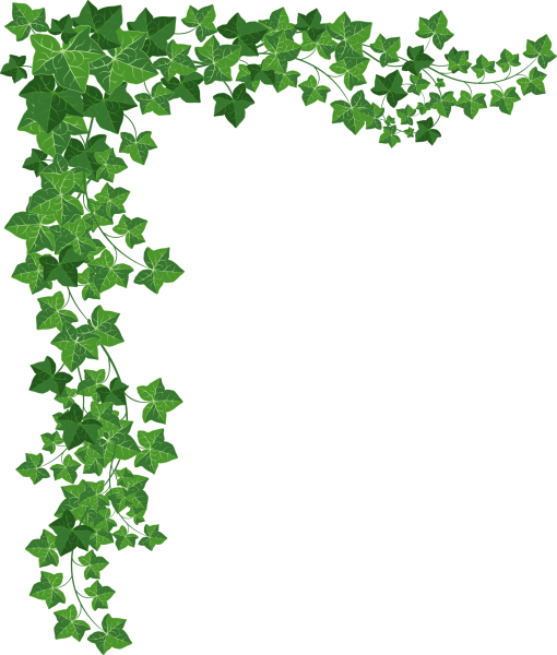 Рамка из зелени