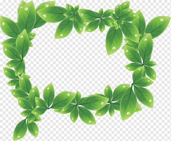 Рамка из зелени