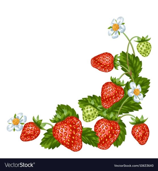 Фон с ягодами для детского сада