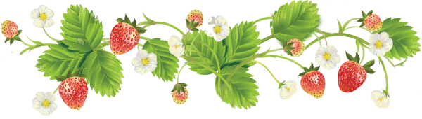 Земляника рисунок на белом фоне