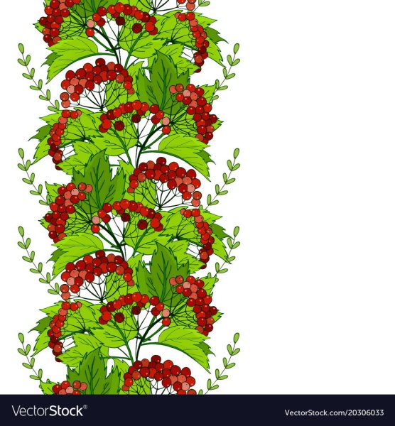 Калина узор