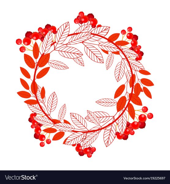 Ветка рябины в круге